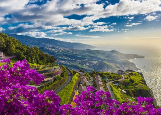 МАДЕЙРА – ЦВЕТНАТА ГРАДИНА НА ПОРТУГАЛИЯ